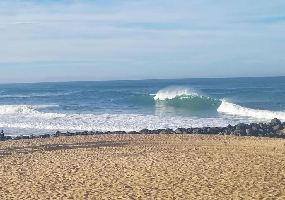 Appartement A 70M De La Plage Et L Estacade De Capbreton Dış mekan fotoğraf
